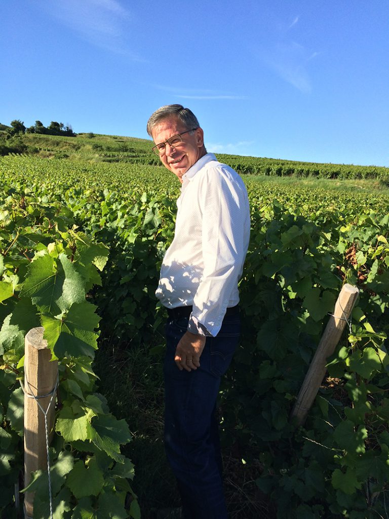 Le vignoble du Champagne Beaudouin-Latrompette